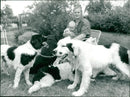 ANIMALS : DOGS: BREEDS M - R - Vintage Photograph