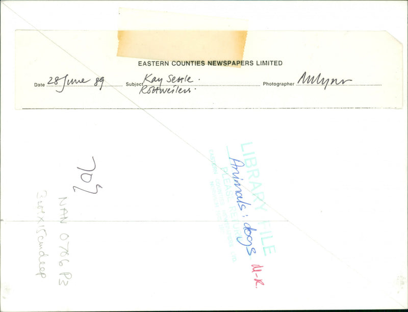 ANIMALS : DOGS: BREEDS M - R - Vintage Photograph