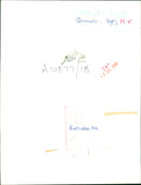 ANIMALS : DOGS: BREEDS M - R - Vintage Photograph