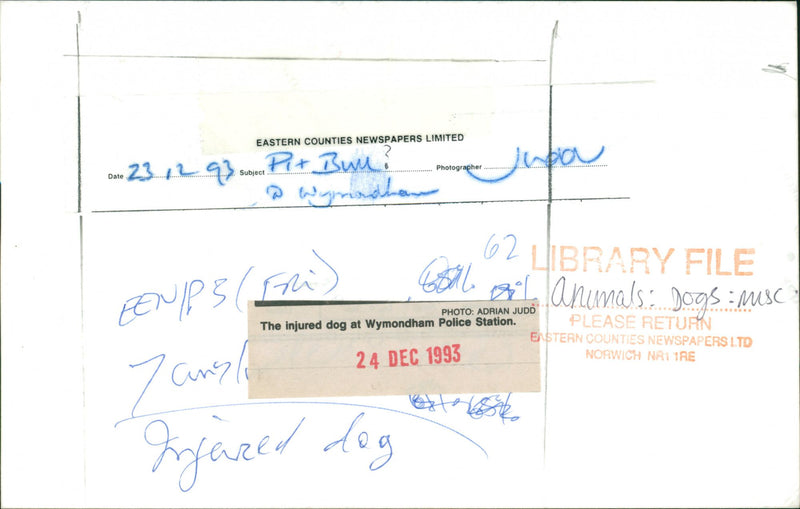 ANIMALS : DOGS: BREEDS M - R - Vintage Photograph