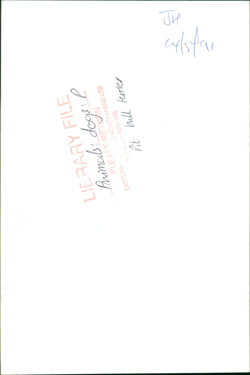 ANIMALS : DOGS: BREEDS M - R - Vintage Photograph