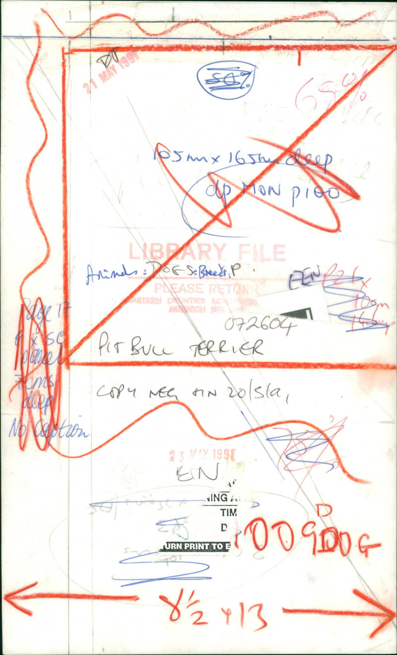 ANIMALS : DOGS: BREEDS M - R - Vintage Photograph