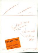 Animals : Pigs - Vintage Photograph