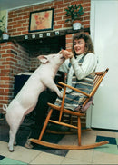Animals : Pigs - Vintage Photograph