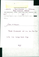 Animals : Pigs - Vintage Photograph