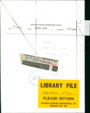 Animals : Pigs - Vintage Photograph