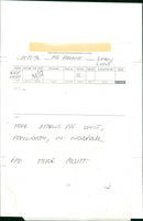 Animals : Pigs - Vintage Photograph