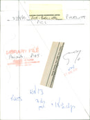 Animals : Pigs - Vintage Photograph