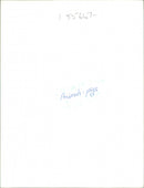 Animals : Pigs - Vintage Photograph