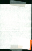 Animals : Pigs - Vintage Photograph