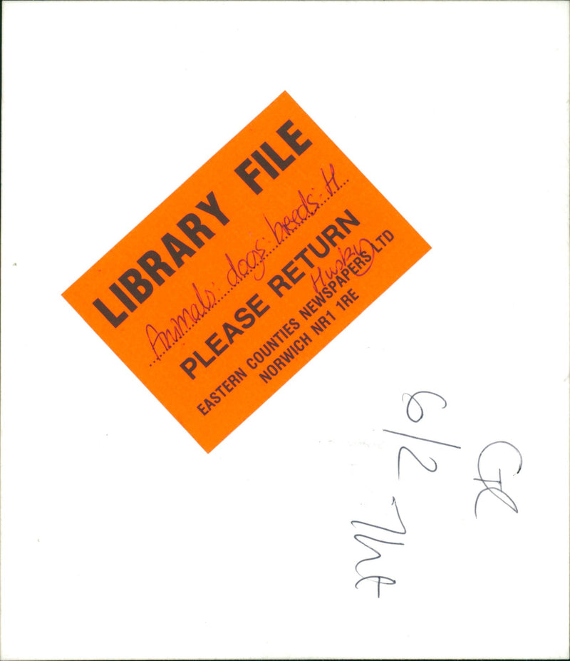 Siberian Husky - Vintage Photograph