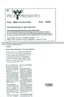 1997 FRAGMENTED DEVELOPMENT ECONOMICS CONTINUED INTER SWEDEN - Vintage Photograph