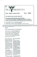 1997 FRAGMENTED DEVELOPMENT ECONOMICS CONTINUED INTER SWEDEN - Vintage Photograph