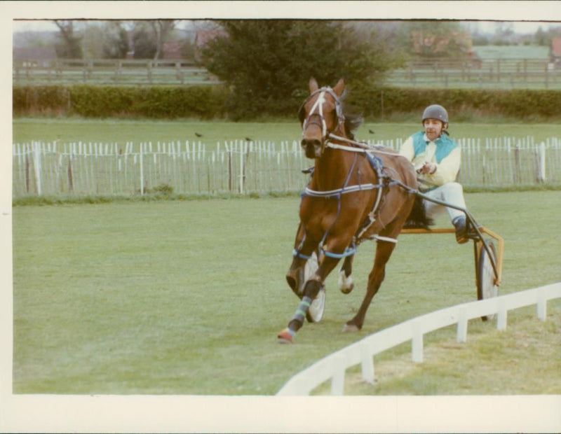 Animals: Horses: Racing - Vintage Photograph