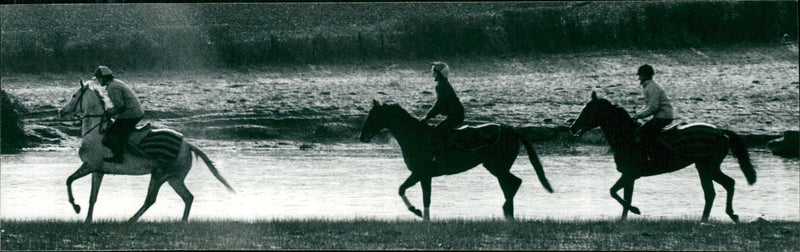 Animals: Horses: Racing - Vintage Photograph