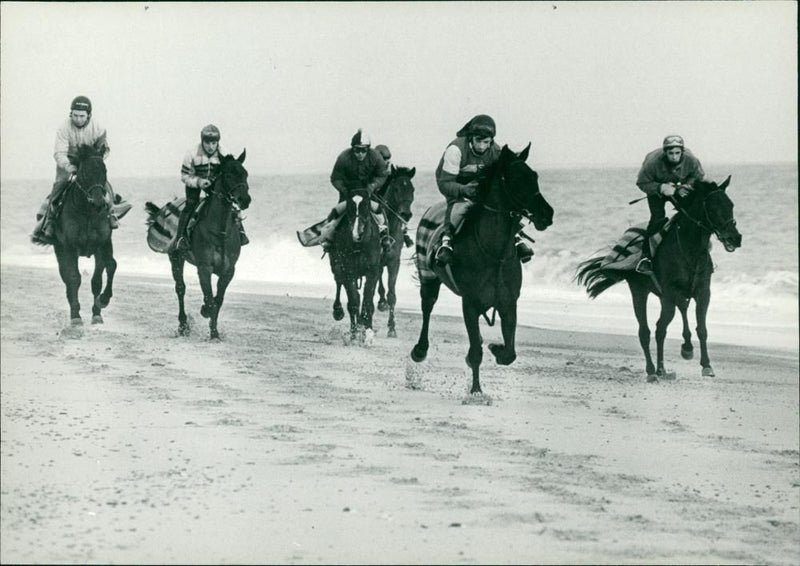 Animals: Horses: Racehorses - Vintage Photograph