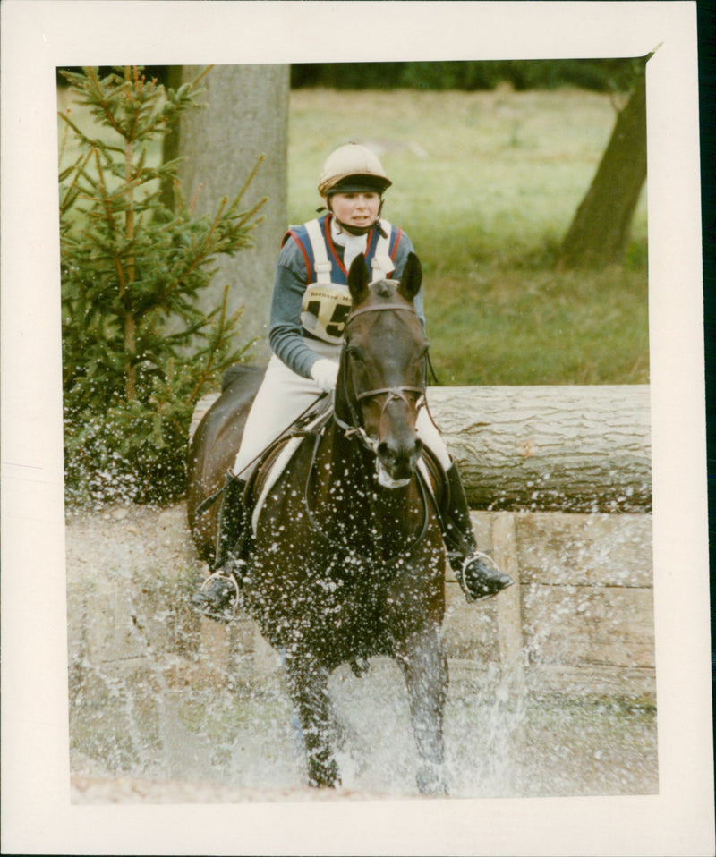 Horse Shows - Vintage Photograph