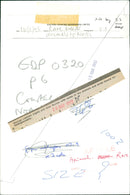 ANIMALS: R - Vintage Photograph