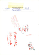 ANIMALS: R - Vintage Photograph