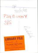 Bunny - Vintage Photograph