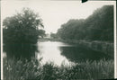 Letheringsett Lake Holt - Vintage Photograph