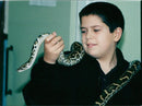 Snake - Vintage Photograph