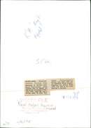 Royal Anglian Regiment Infantry regiment of the British Army. - Vintage Photograph