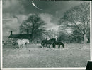 little Melton - Vintage Photograph