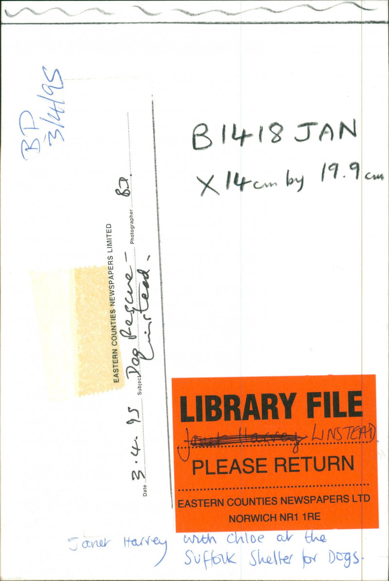 Dog Rescue at Linstead - Vintage Photograph