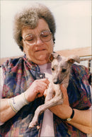 Dog Rescue at Linstead - Vintage Photograph