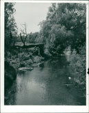 River. - Vintage Photograph