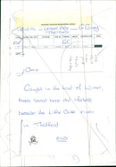 Trees in the River. - Vintage Photograph