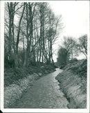 River. - Vintage Photograph