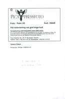 The music group Caesars - Vintage Photograph