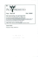 The music group Caesars - Vintage Photograph