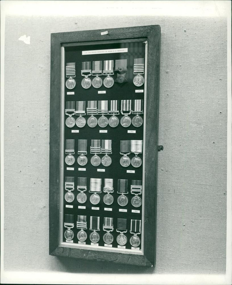 Royal Anglian Regiment. - Vintage Photograph