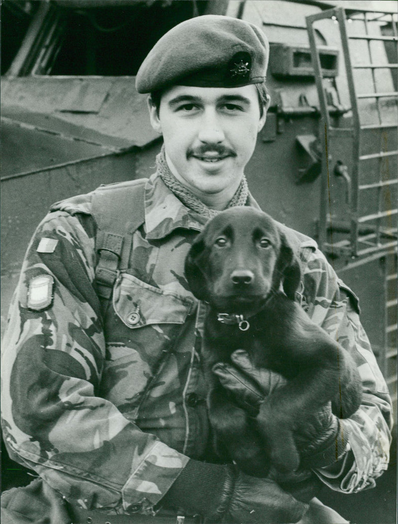 Royal Anglian Regiment. - Vintage Photograph