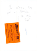 King  oak at fairhaven. - Vintage Photograph