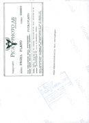 SWEDEN PAVEL ANIMALS IMAGE DONNE DELIV PRESS PETER - Vintage Photograph