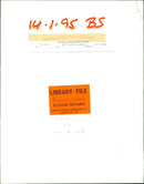 Cattle animals: - Vintage Photograph