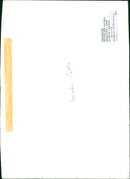 Cattle animals: - Vintage Photograph