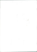 Cattle animals:a still from a video released  in london. - Vintage Photograph