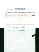 Cattle animals:a highland with her calt - Vintage Photograph