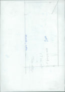 Cattle animals: - Vintage Photograph