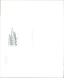 Cattle animals: - Vintage Photograph