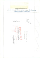 Cattle animals:terry lane - Vintage Photograph