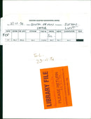 South devon Animals Cattle. - Vintage Photograph