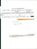 South devon Animals Cattle. - Vintage Photograph