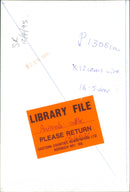 Animals Cattle. - Vintage Photograph