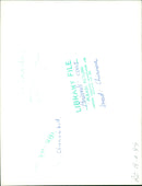 Animals Cattle. - Vintage Photograph